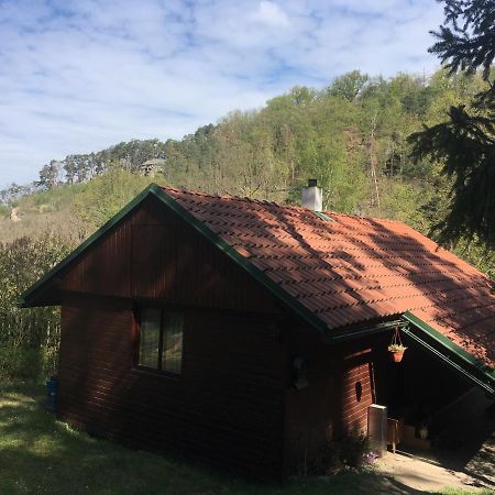 Chata U Certovych Hlav Villa Zelizy Buitenkant foto