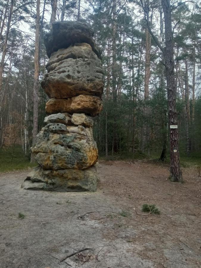 Chata U Certovych Hlav Villa Zelizy Buitenkant foto